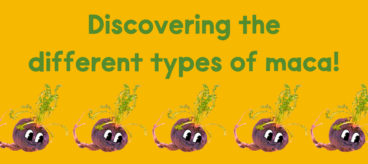 Discovering the different types of maca
