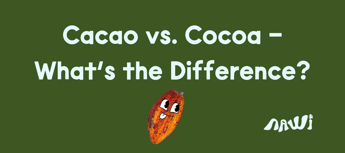 Cacao vs Cocoa - What's the Difference?