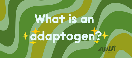 What is an adaptogen?